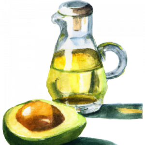 avocadoöl zeichnung